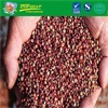 High quality Sorghum