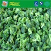 IQF Frozen Broccoli 10-20mm