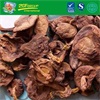 Dried bloetus edulis