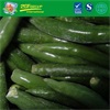 IQF whole green chili l5-12cm