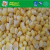 Hot sale IQF whole kernel sweet corn