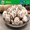 High Quality Dried Flower Mushroom
