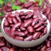 IQF Frozen red kidney bean （england red variety）