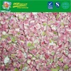 High Quality IQF Diced Fig 10mm