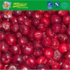 Suit All Age IQF Pitted Sour Cherry FOR SALE