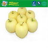 Fresh Golden Delicious Apple For Sale