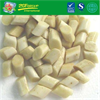 IQF Frozen Burdock Chunks For Sale