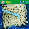 New Season IQF Whole Baby Corn