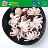 Hot Sale Frozen Whole Baby Octopus