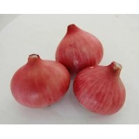Frozen Small Sliced Red Onion Shallots