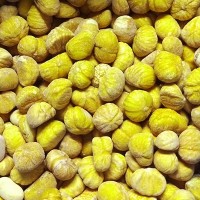 IQF Whole Chestnut Grade A