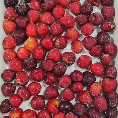 IQF Frozen Pitted Red Cherry