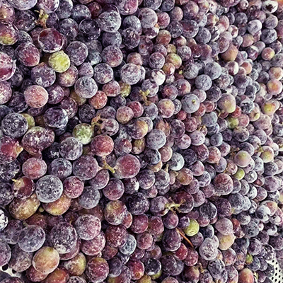 Frozen Fruits IQF Grape