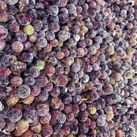 Frozen Fruits IQF Grape