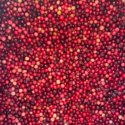 Frozen Lingonberry