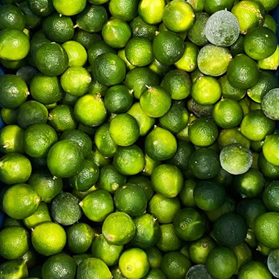 Frozen  Lime