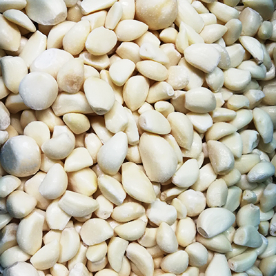 Frozen Garlic Segment