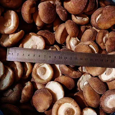 Frozen Whole Shiitake Mushroom