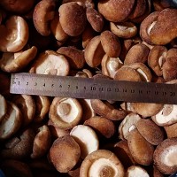 Frozen Whole Shiitake Mushroom