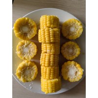 IQF Cut Sweet Corn Cob With High Quality